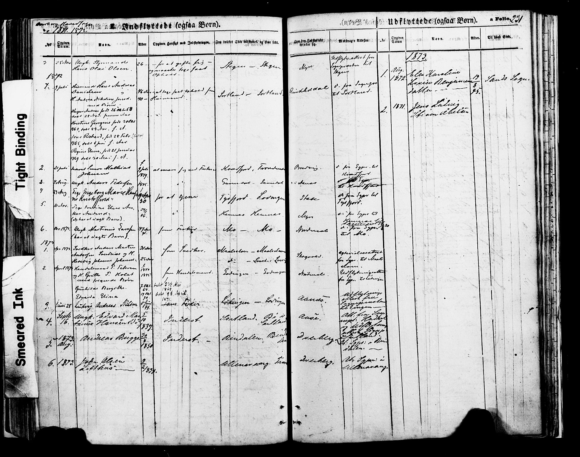 Ministerialprotokoller, klokkerbøker og fødselsregistre - Nordland, SAT/A-1459/897/L1397: Parish register (official) no. 897A05 /1, 1867-1880, p. 231