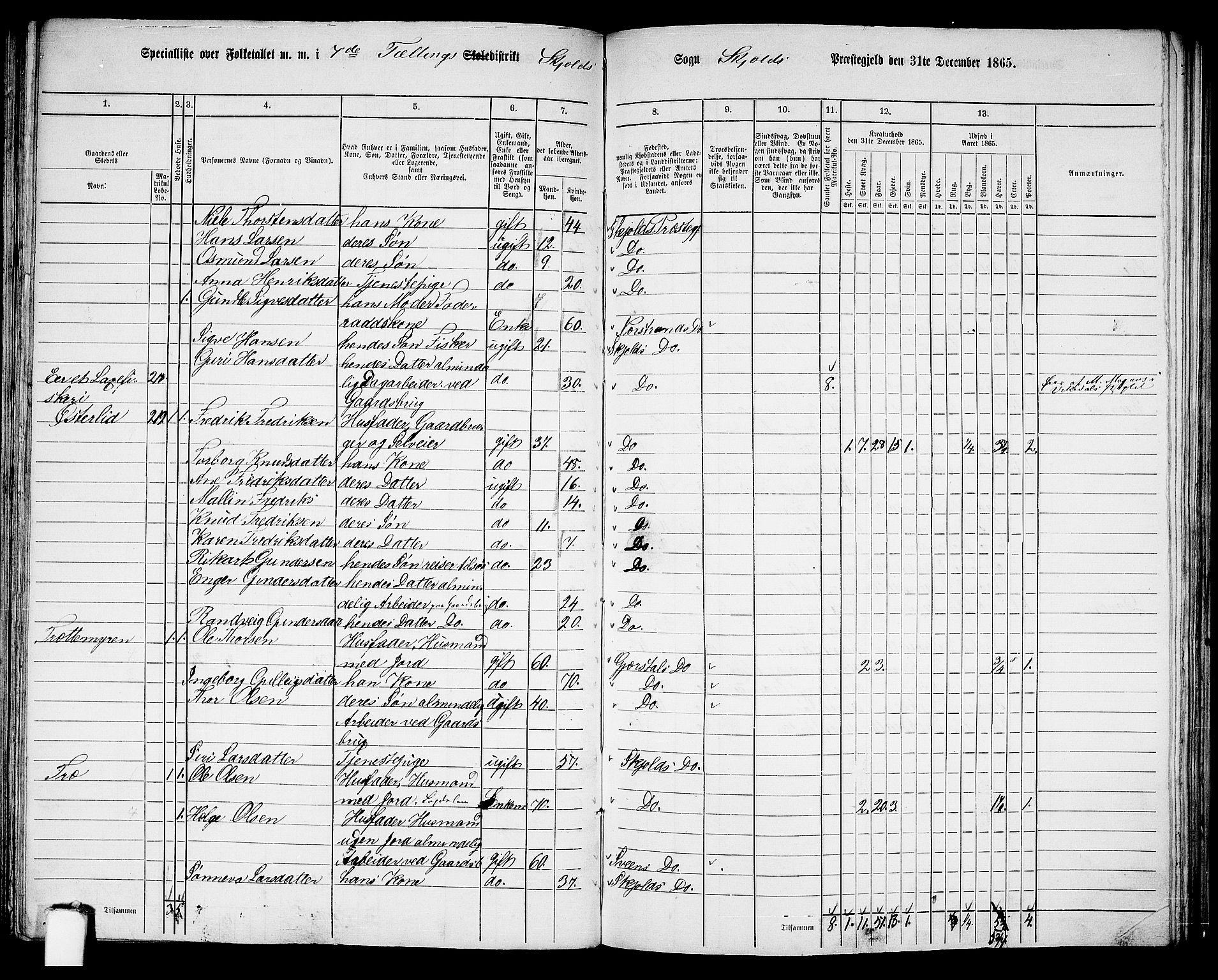 RA, 1865 census for Skjold, 1865, p. 101