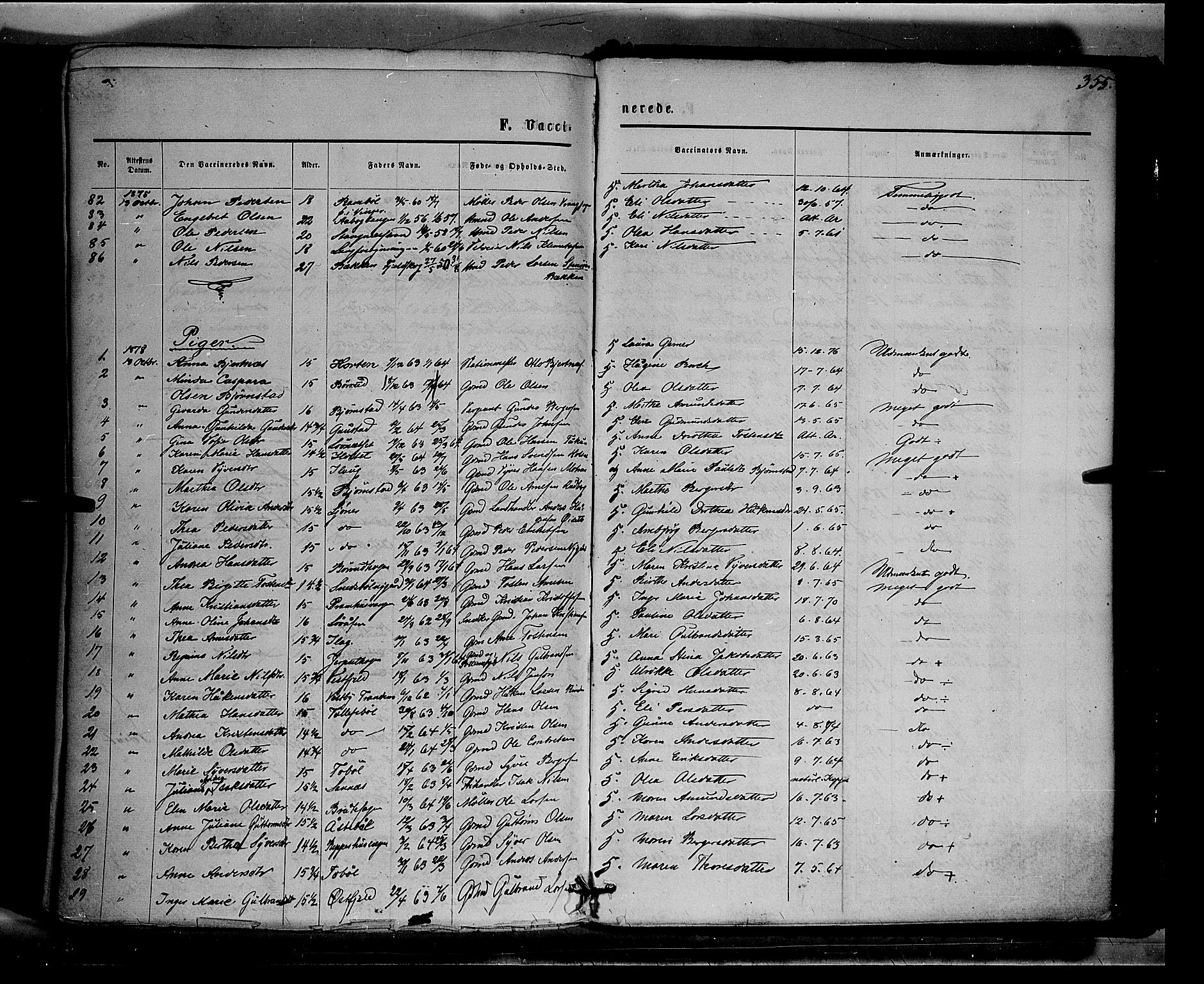 Eidskog prestekontor, AV/SAH-PREST-026/H/Ha/Haa/L0002: Parish register (official) no. 2, 1867-1878, p. 355