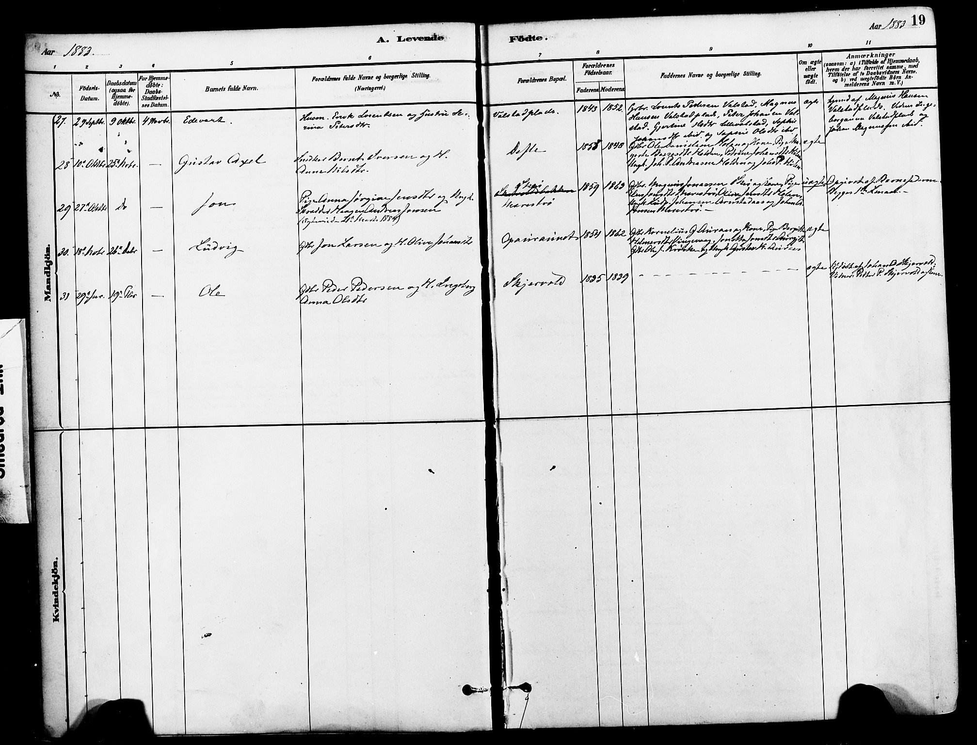 Ministerialprotokoller, klokkerbøker og fødselsregistre - Nord-Trøndelag, AV/SAT-A-1458/712/L0100: Parish register (official) no. 712A01, 1880-1900, p. 19