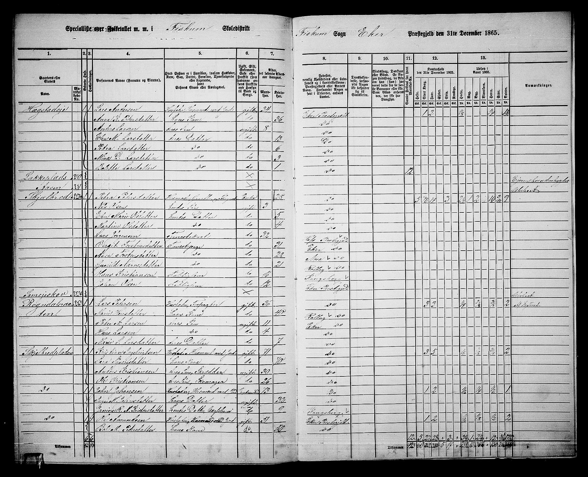 RA, 1865 census for Eiker, 1865, p. 531