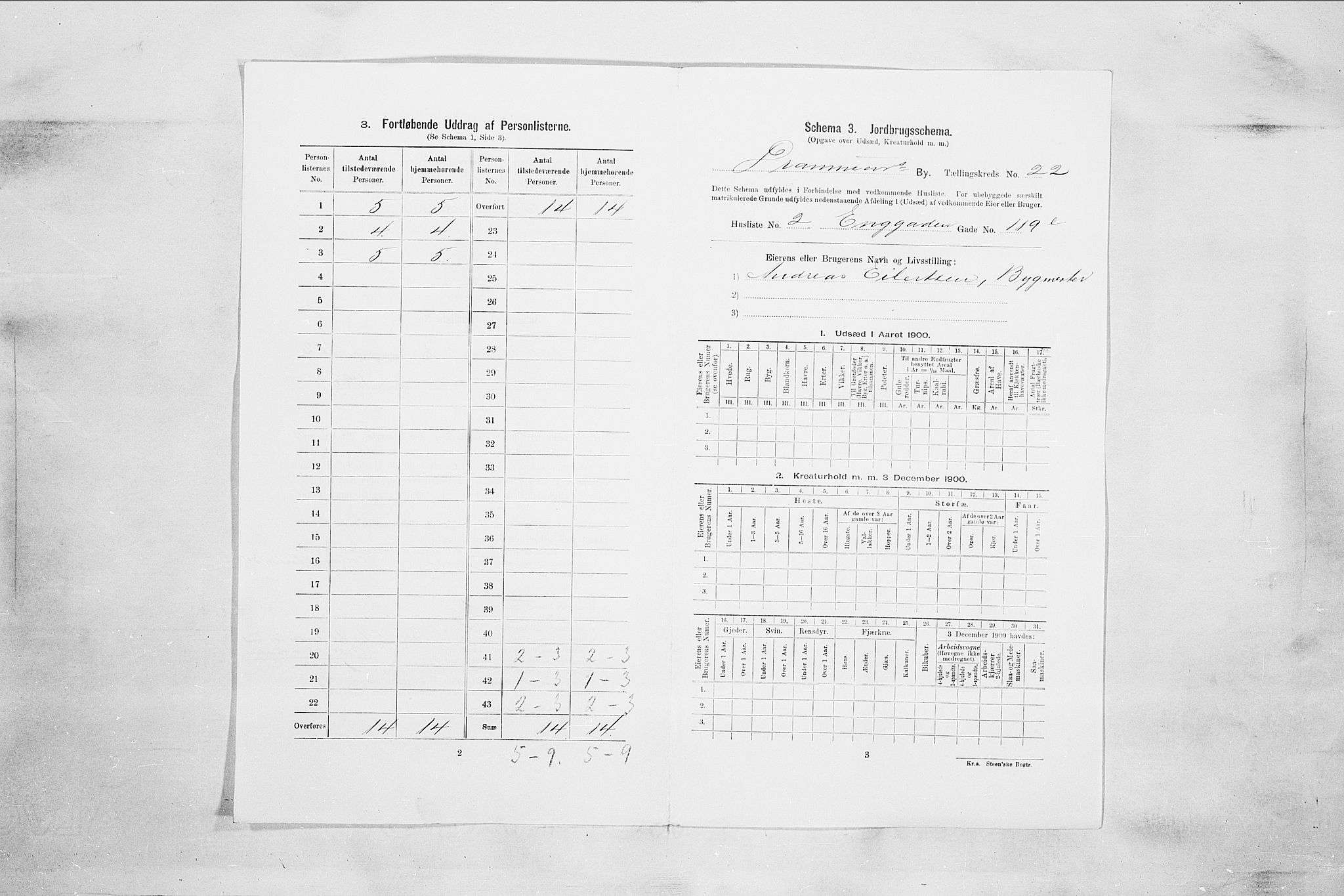 RA, 1900 census for Drammen, 1900, p. 3654