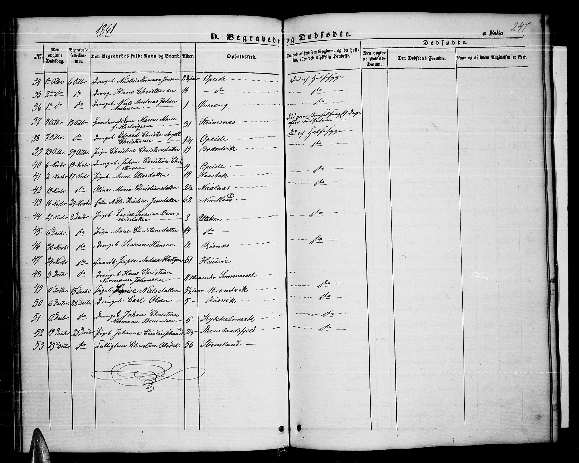 Ministerialprotokoller, klokkerbøker og fødselsregistre - Nordland, AV/SAT-A-1459/859/L0857: Parish register (copy) no. 859C03, 1854-1873, p. 247