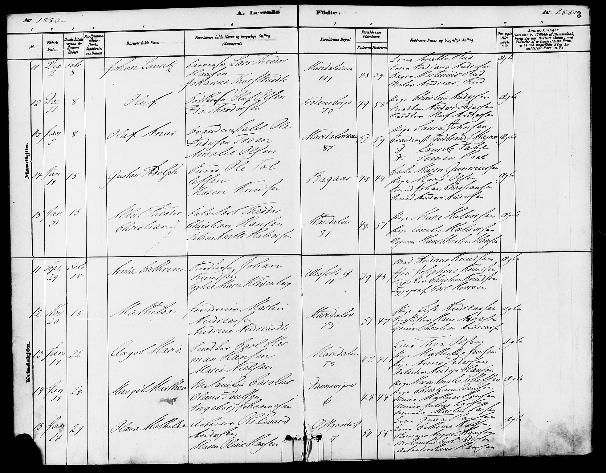 Gamle Aker prestekontor Kirkebøker, AV/SAO-A-10617a/F/L0006: Parish register (official) no. 6, 1880-1887, p. 3