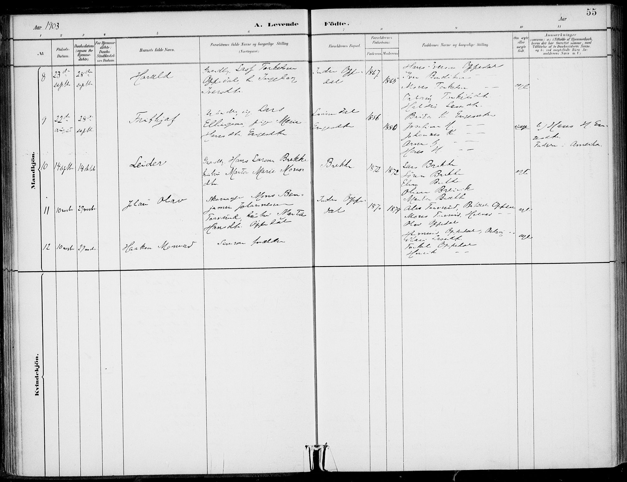 Gulen sokneprestembete, AV/SAB-A-80201/H/Haa/Haac/L0002: Parish register (official) no. C  2, 1882-1914, p. 55