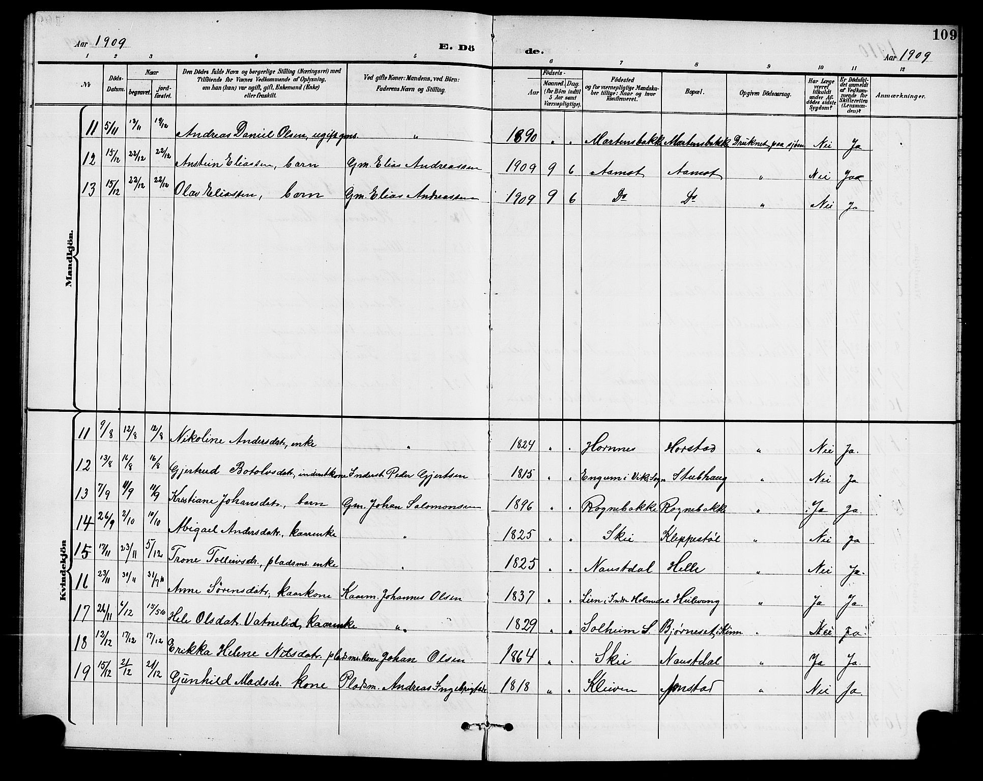 Førde sokneprestembete, AV/SAB-A-79901/H/Hab/Habd/L0005: Parish register (copy) no. D 5, 1898-1911, p. 109
