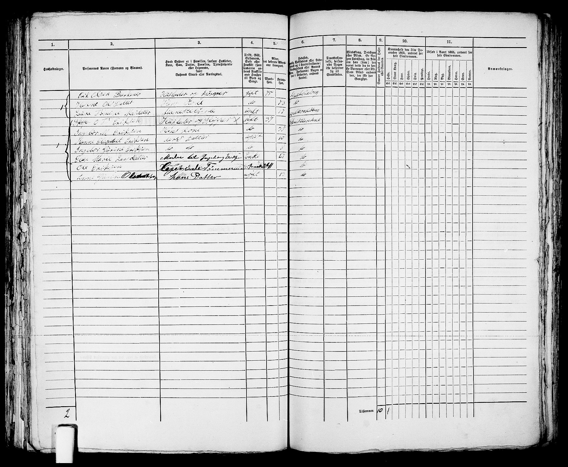 RA, 1865 census for Kristiansand, 1865, p. 1308