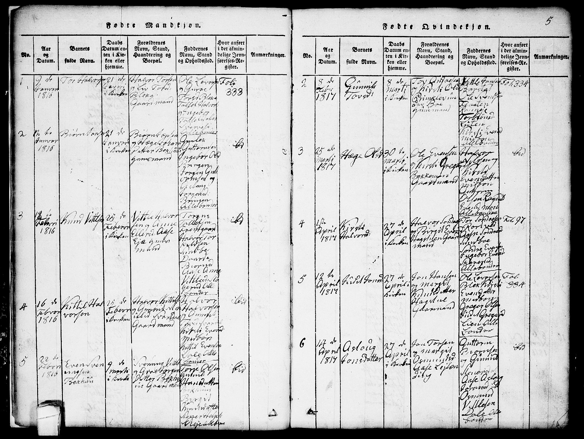 Seljord kirkebøker, SAKO/A-20/G/Gb/L0002: Parish register (copy) no. II 2, 1815-1854, p. 5
