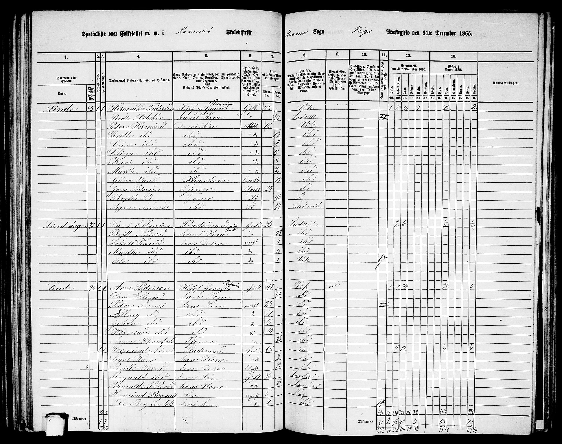 RA, 1865 census for Vik, 1865, p. 128