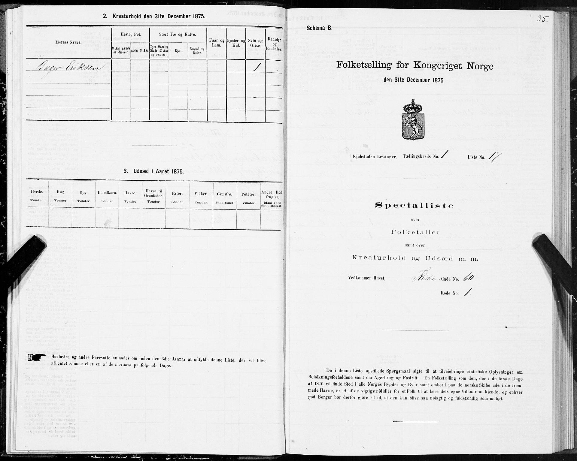 SAT, 1875 census for 1701B Levanger/Levanger, 1875, p. 35