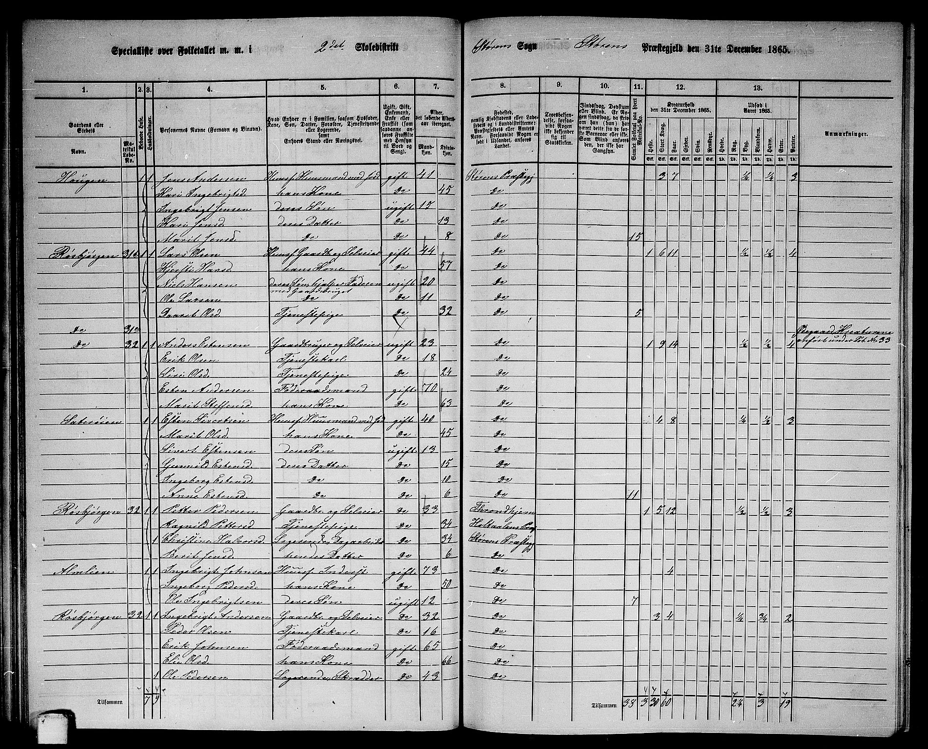 RA, 1865 census for Støren, 1865, p. 48