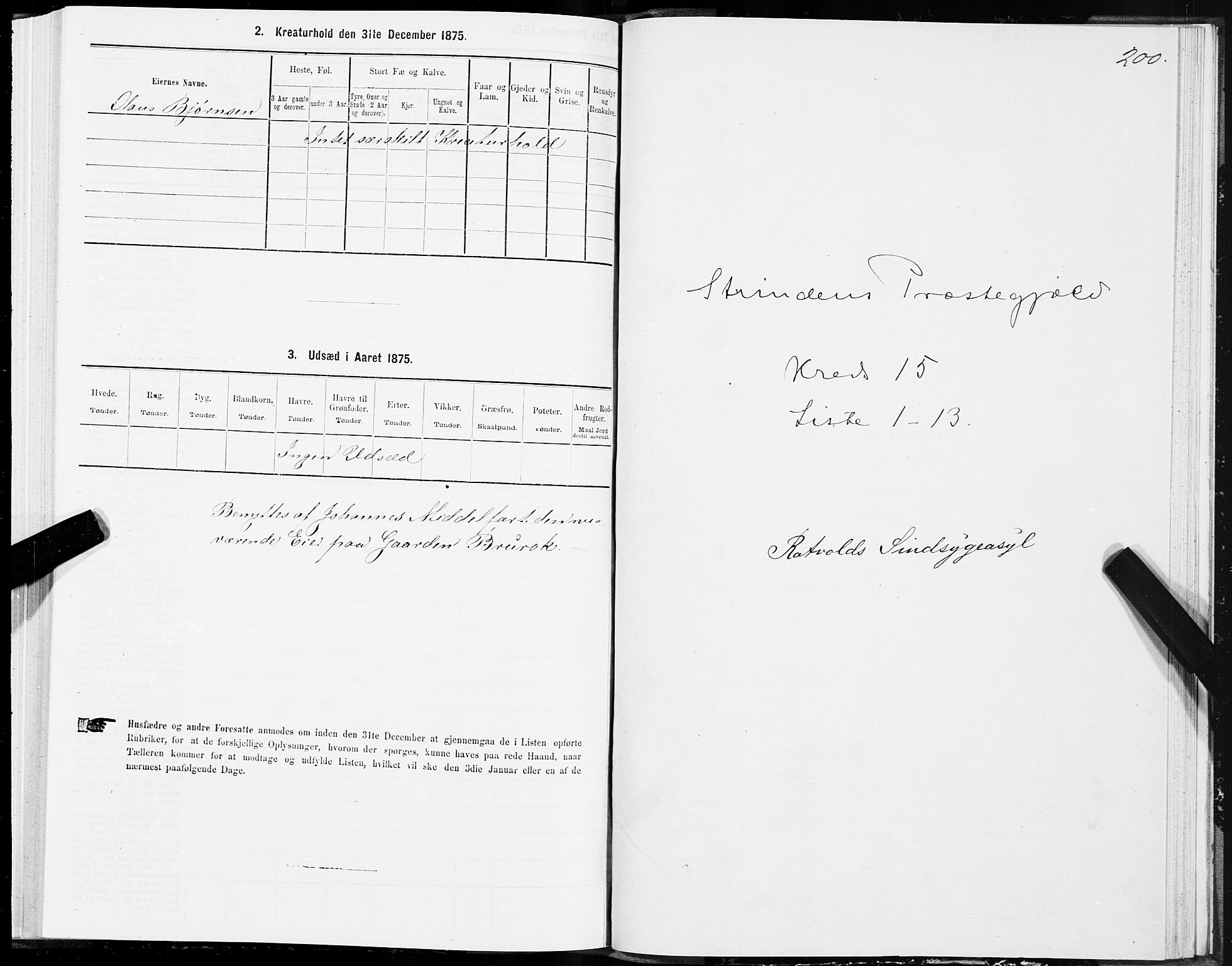 SAT, 1875 census for 1660P Strinda, 1875, p. 8200