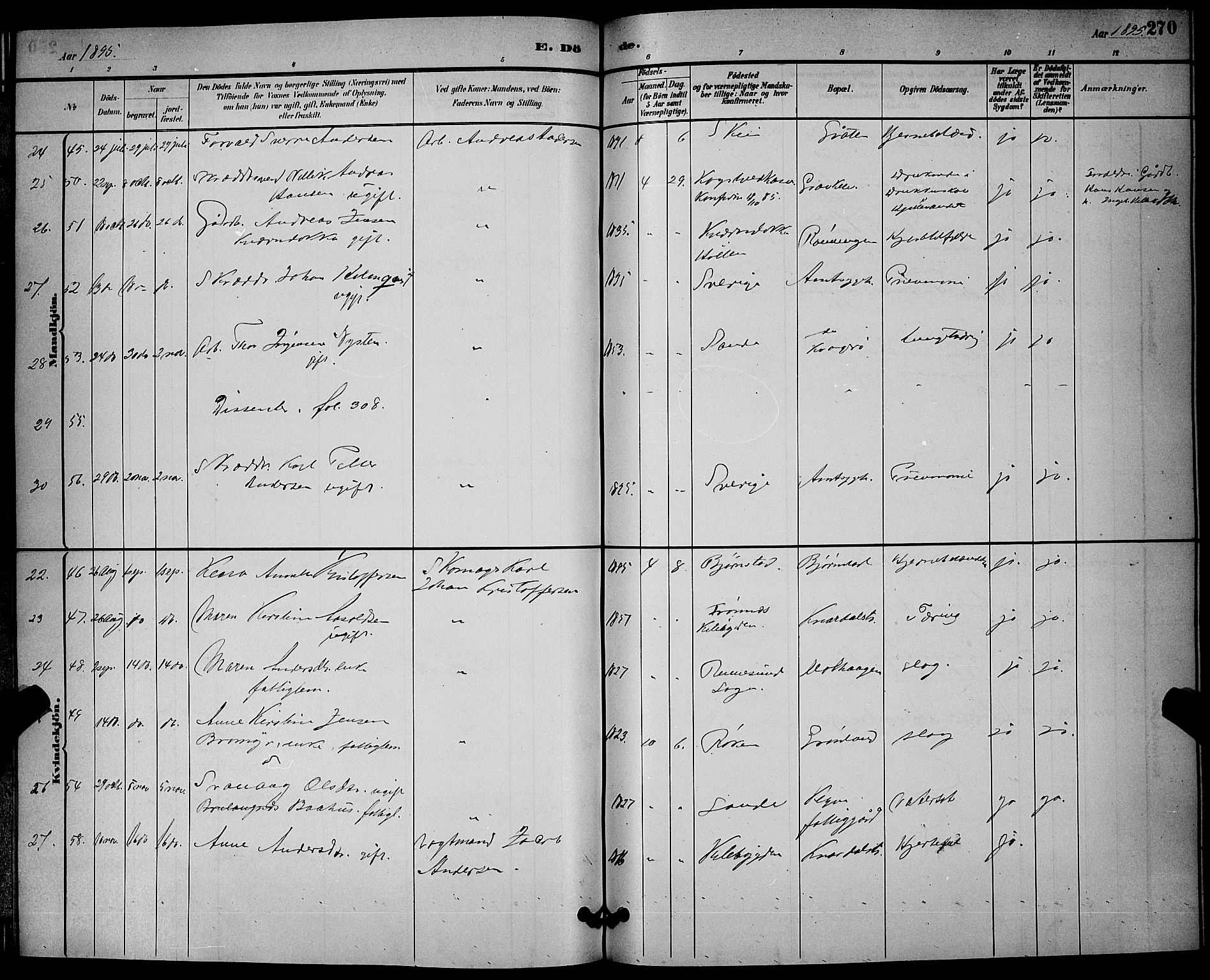 Solum kirkebøker, AV/SAKO-A-306/G/Ga/L0007: Parish register (copy) no. I 7, 1884-1898, p. 270