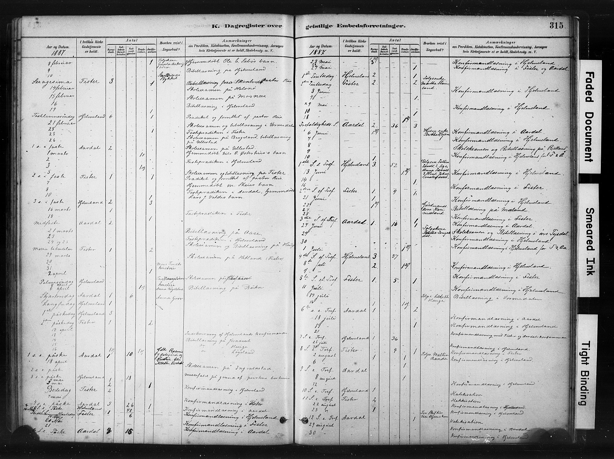 Hjelmeland sokneprestkontor, AV/SAST-A-101843/01/IV/L0014: Parish register (official) no. A 14, 1879-1900, p. 315