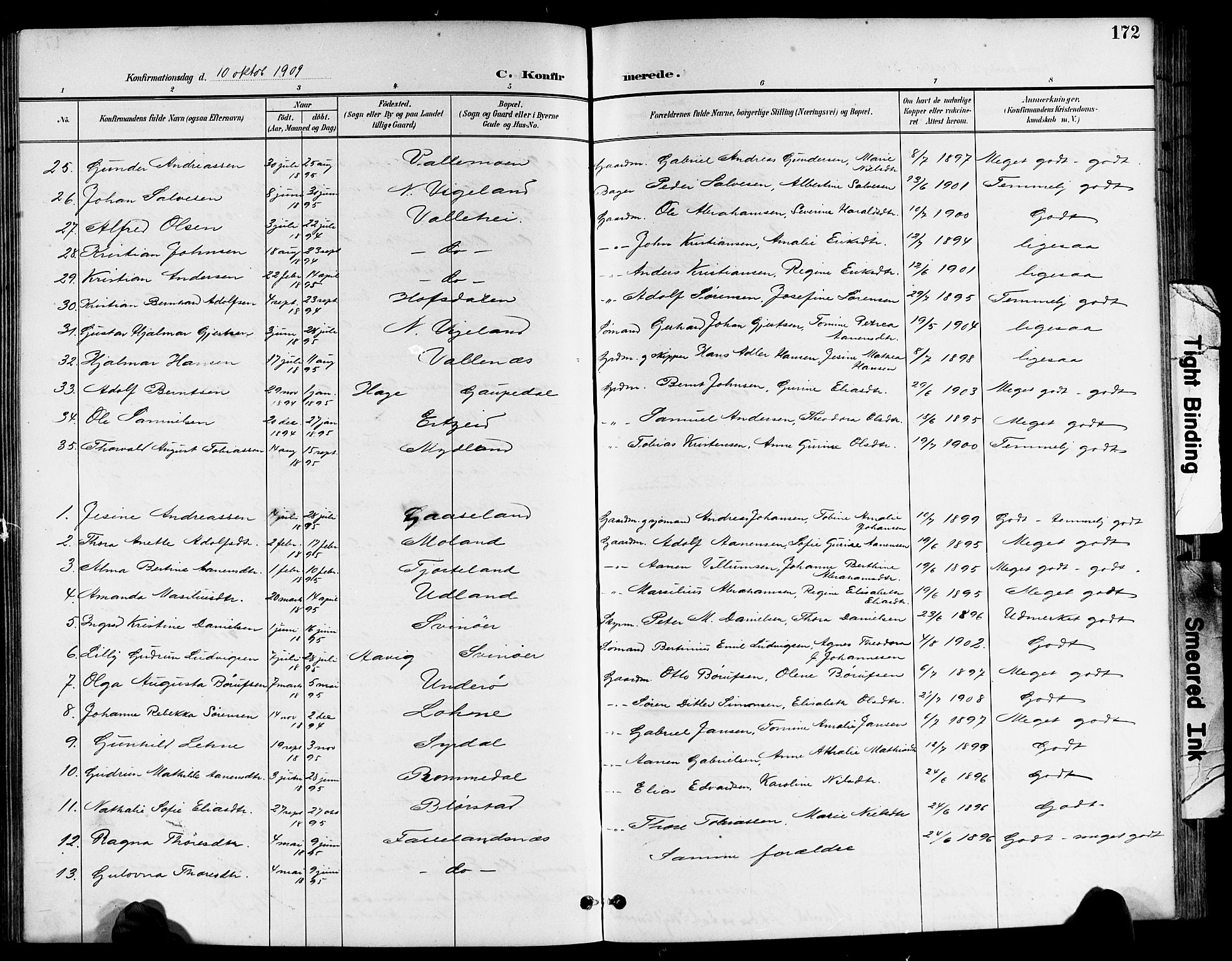 Sør-Audnedal sokneprestkontor, AV/SAK-1111-0039/F/Fb/Fbb/L0006: Parish register (copy) no. B 6, 1893-1915, p. 172