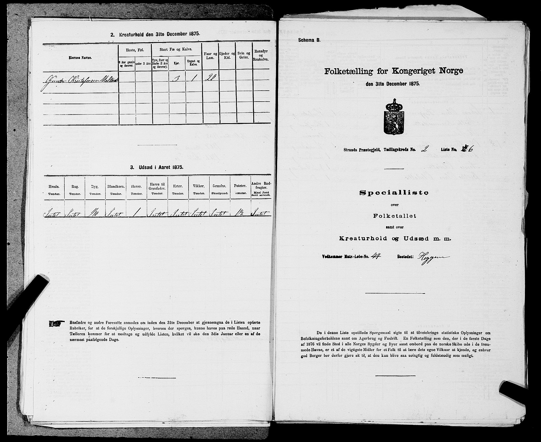 SAST, 1875 census for 1130P Strand, 1875, p. 170