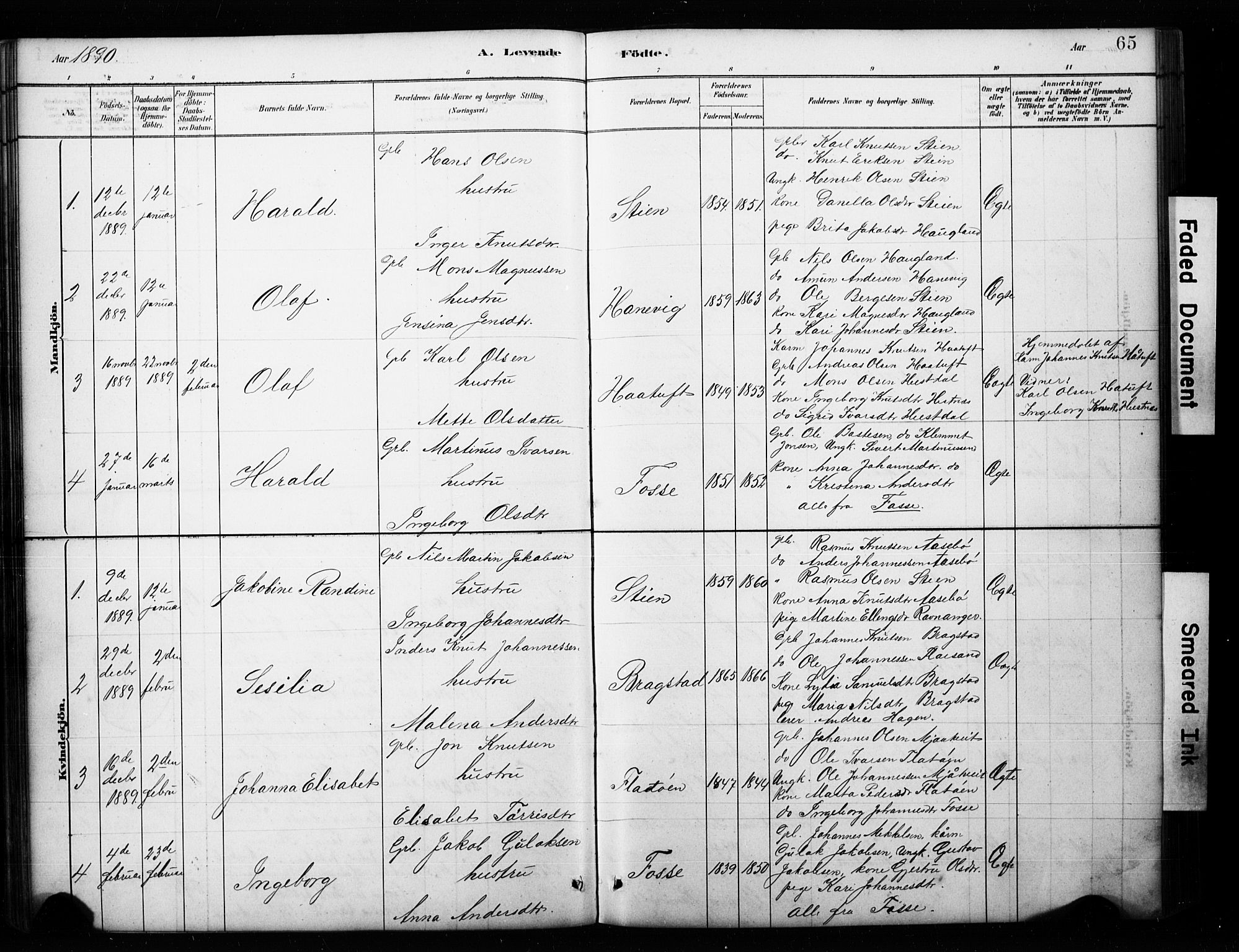 Alversund Sokneprestembete, SAB/A-73901/H/Ha/Hab: Parish register (copy) no. C 3, 1881-1894, p. 65