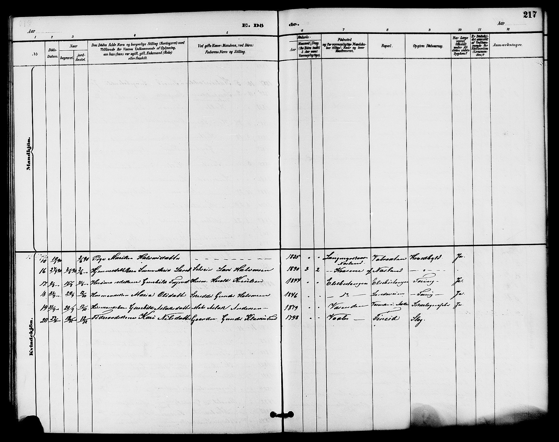 Drangedal kirkebøker, AV/SAKO-A-258/G/Ga/L0003: Parish register (copy) no. I 3, 1887-1906, p. 217