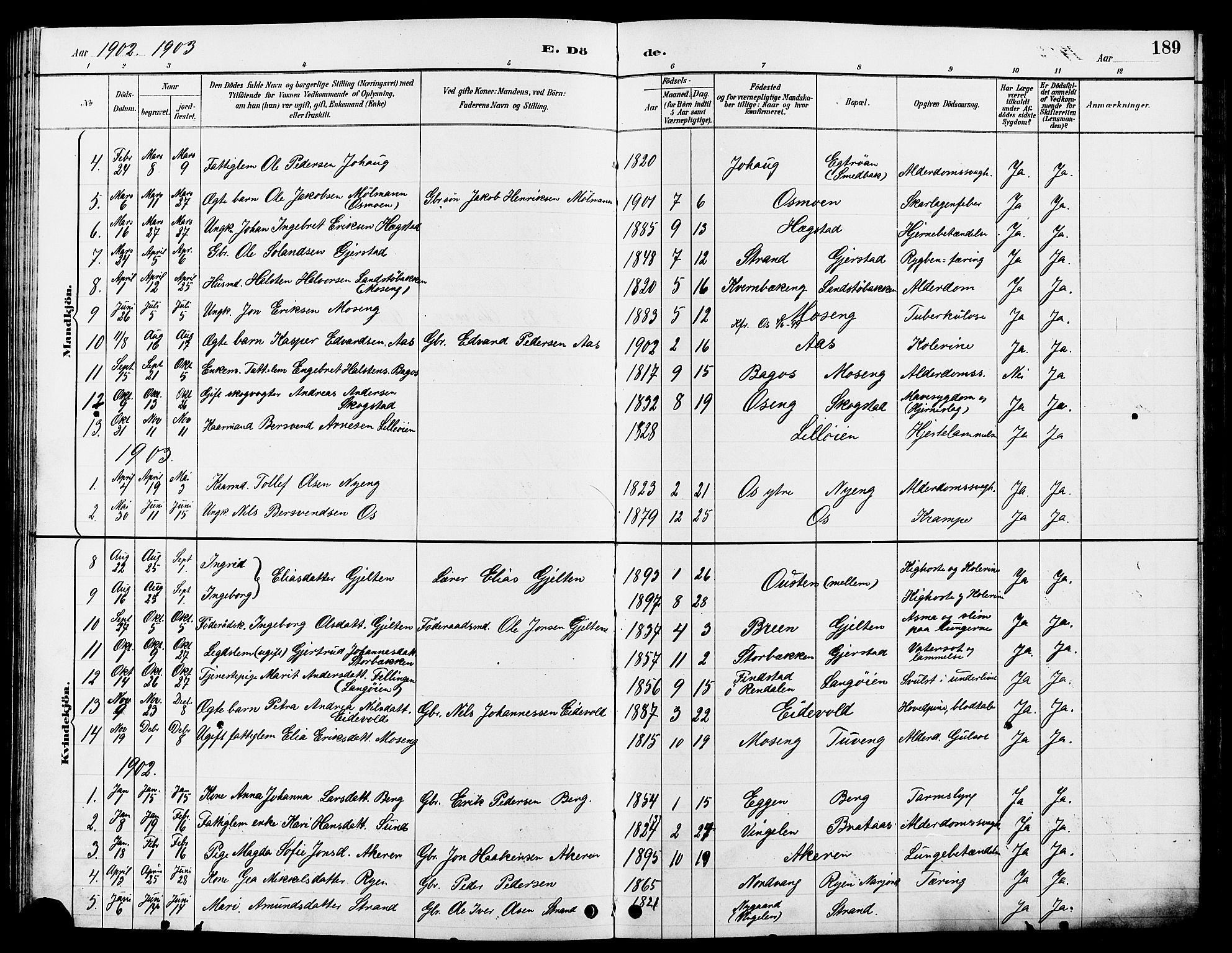 Tolga prestekontor, AV/SAH-PREST-062/L/L0008: Parish register (copy) no. 8, 1887-1912, p. 189