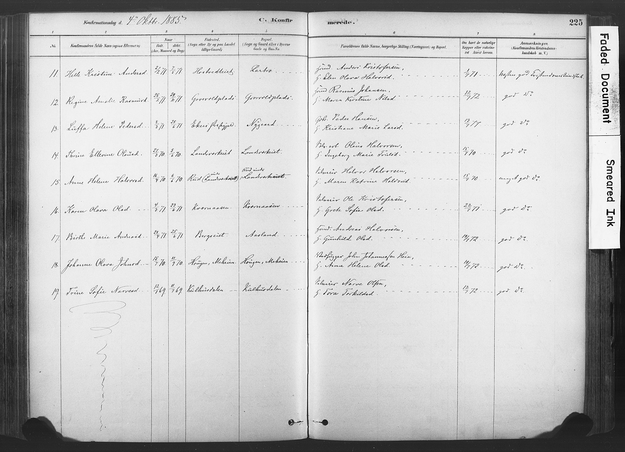 Sandsvær kirkebøker, SAKO/A-244/F/Fd/L0001: Parish register (official) no. IV 1, 1878-1906, p. 225