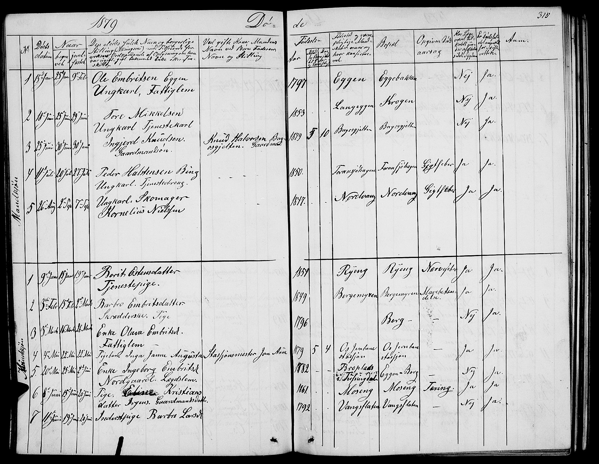 Tolga prestekontor, AV/SAH-PREST-062/L/L0004: Parish register (copy) no. 4, 1845-1887, p. 315