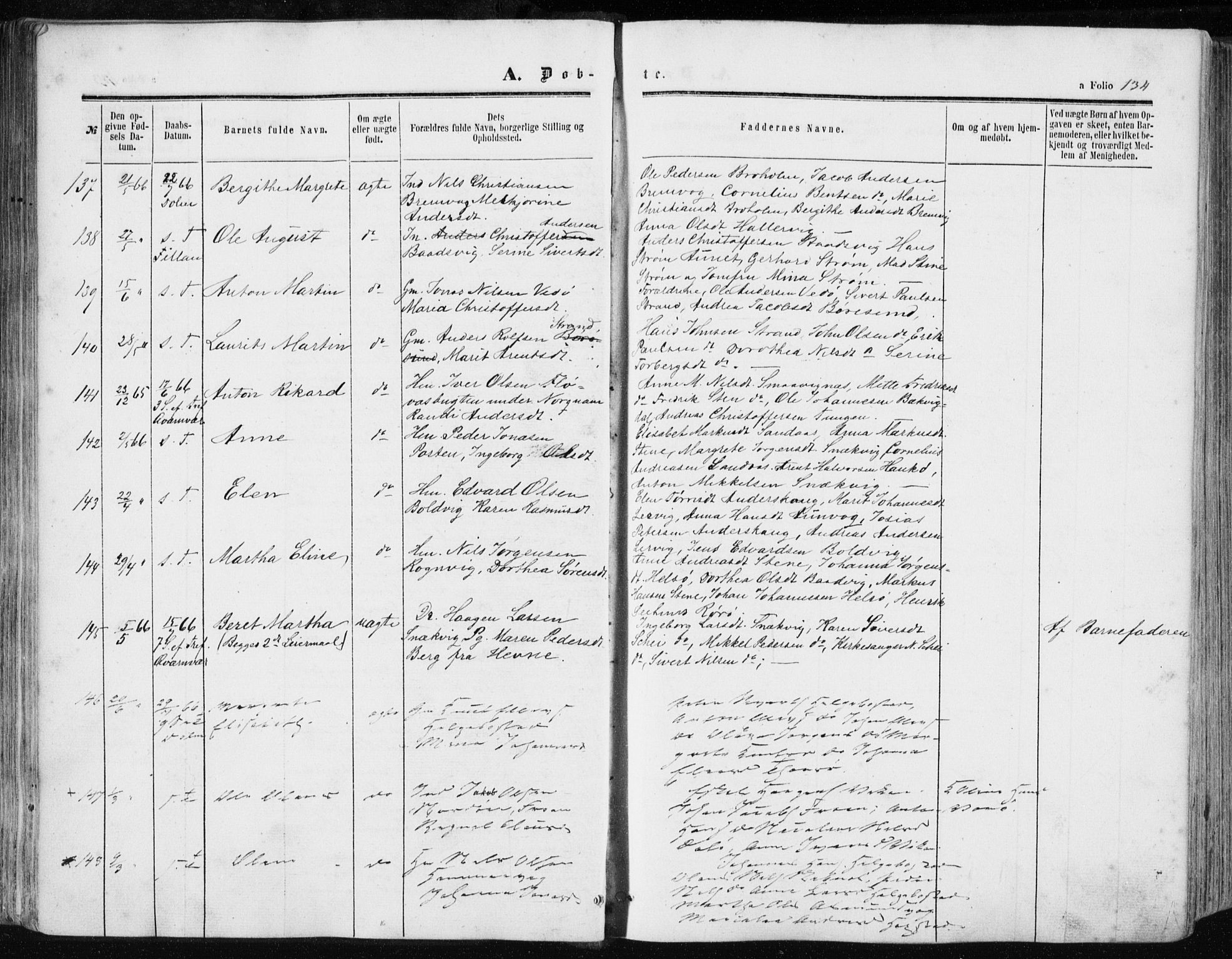 Ministerialprotokoller, klokkerbøker og fødselsregistre - Sør-Trøndelag, AV/SAT-A-1456/634/L0531: Parish register (official) no. 634A07, 1861-1870, p. 134