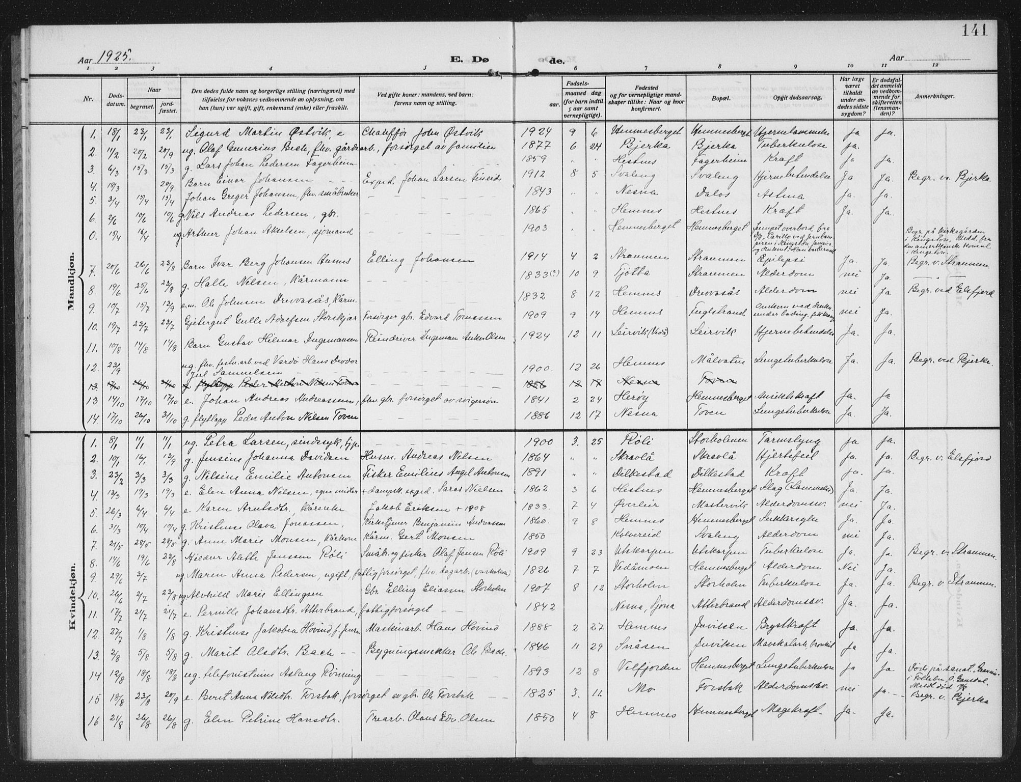 Ministerialprotokoller, klokkerbøker og fødselsregistre - Nordland, AV/SAT-A-1459/825/L0371: Parish register (copy) no. 825C08, 1907-1940, p. 141