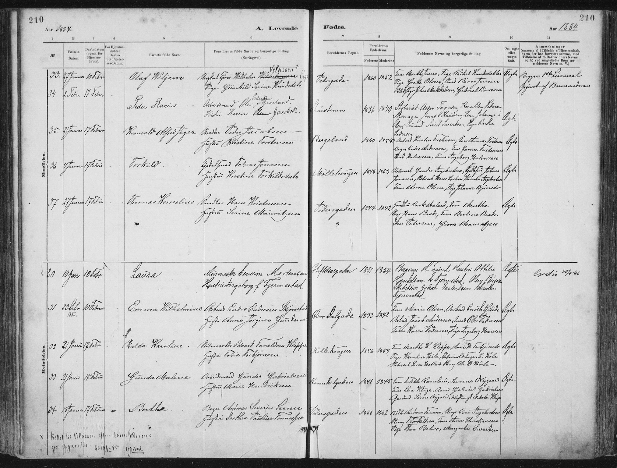 St. Petri sokneprestkontor, AV/SAST-A-101813/001/30/30BA/L0015: Parish register (official) no. A 15, 1879-1888, p. 210