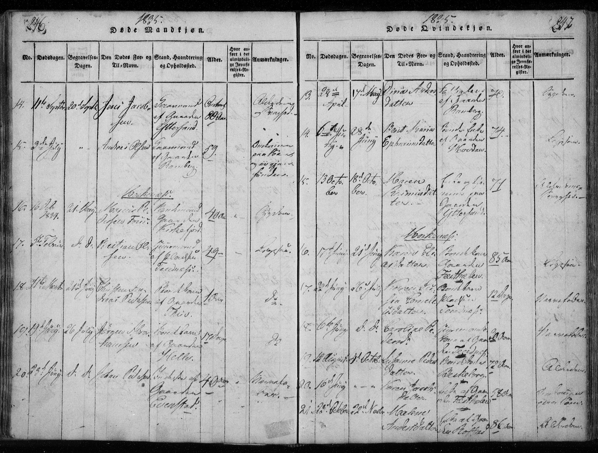 Ministerialprotokoller, klokkerbøker og fødselsregistre - Nordland, SAT/A-1459/885/L1201: Parish register (official) no. 885A02, 1820-1837, p. 246-247