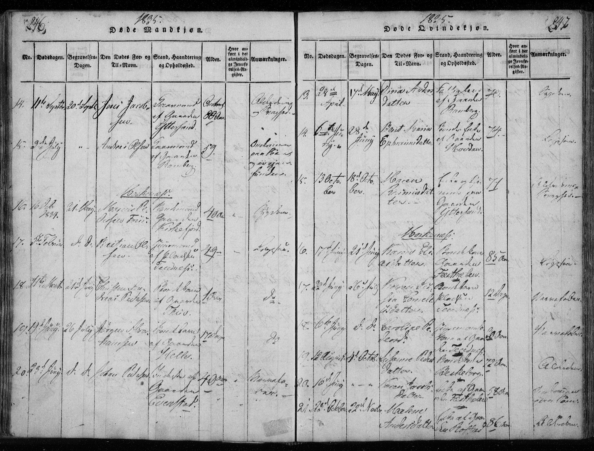 Ministerialprotokoller, klokkerbøker og fødselsregistre - Nordland, AV/SAT-A-1459/885/L1201: Parish register (official) no. 885A02, 1820-1837, p. 246-247