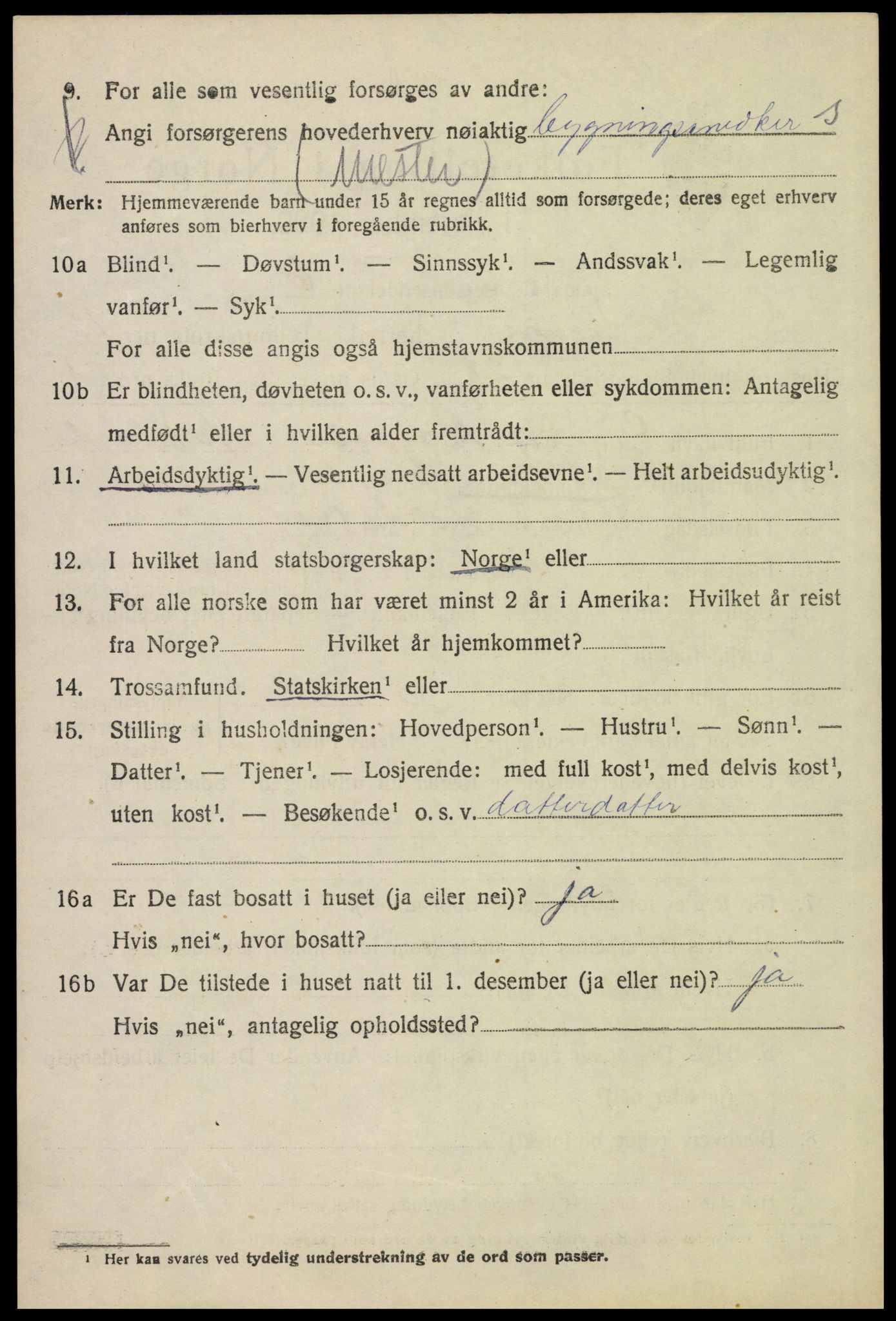 SAH, 1920 census for Vinger, 1920, p. 11367