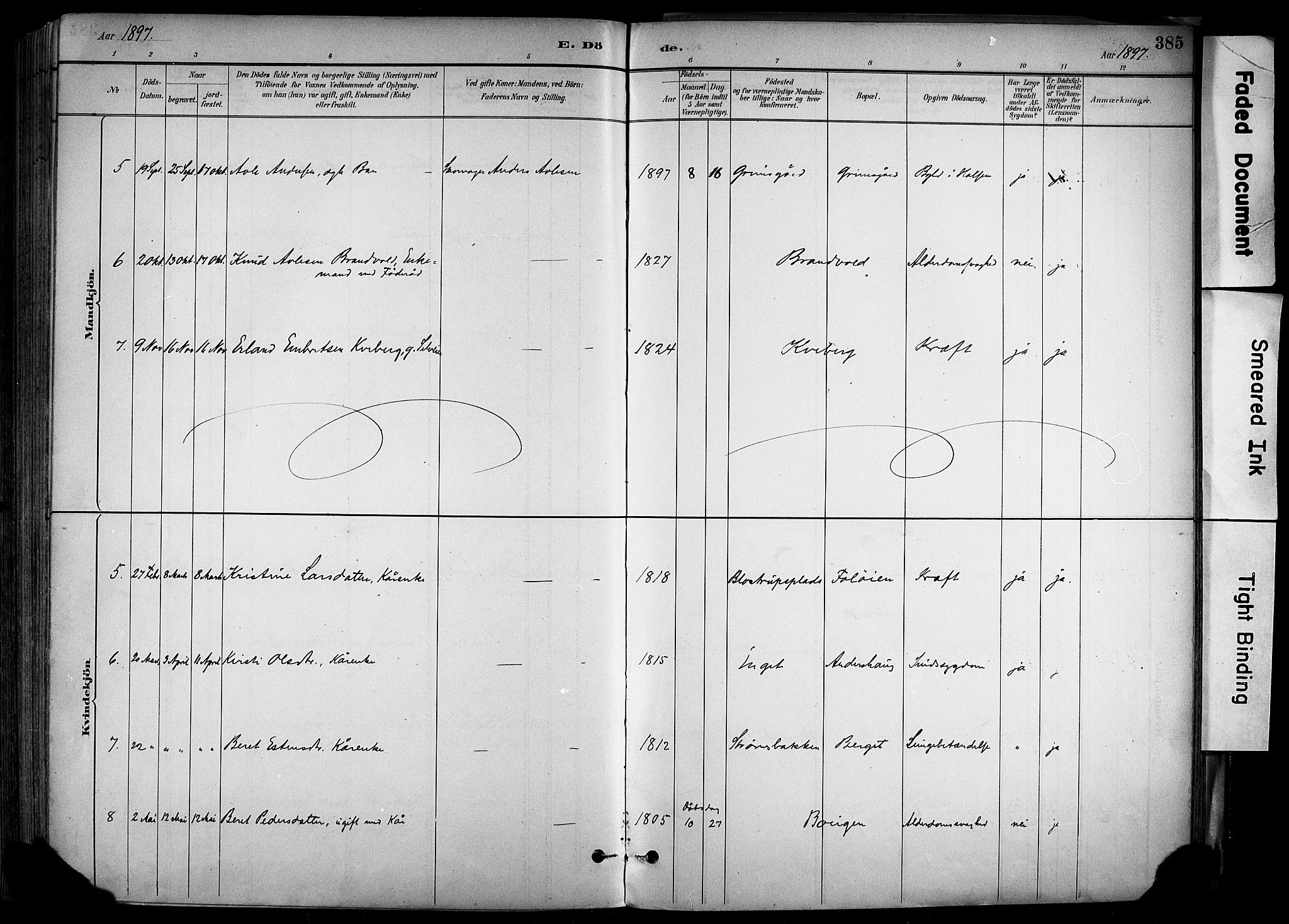 Alvdal prestekontor, AV/SAH-PREST-060/H/Ha/Haa/L0002: Parish register (official) no. 2, 1883-1906, p. 385