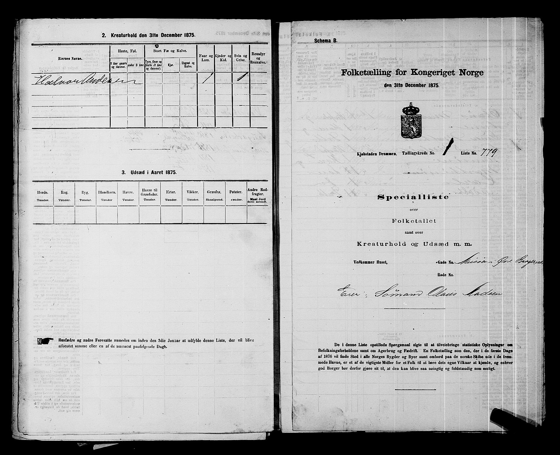 SAKO, 1875 census for 0602 Drammen, 1875, p. 170