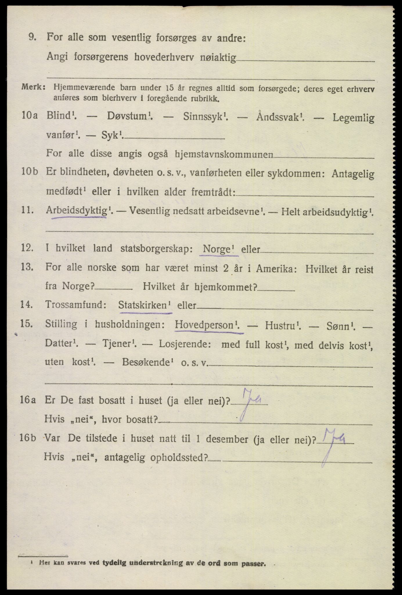 SAK, 1920 census for Hornnes, 1920, p. 1008