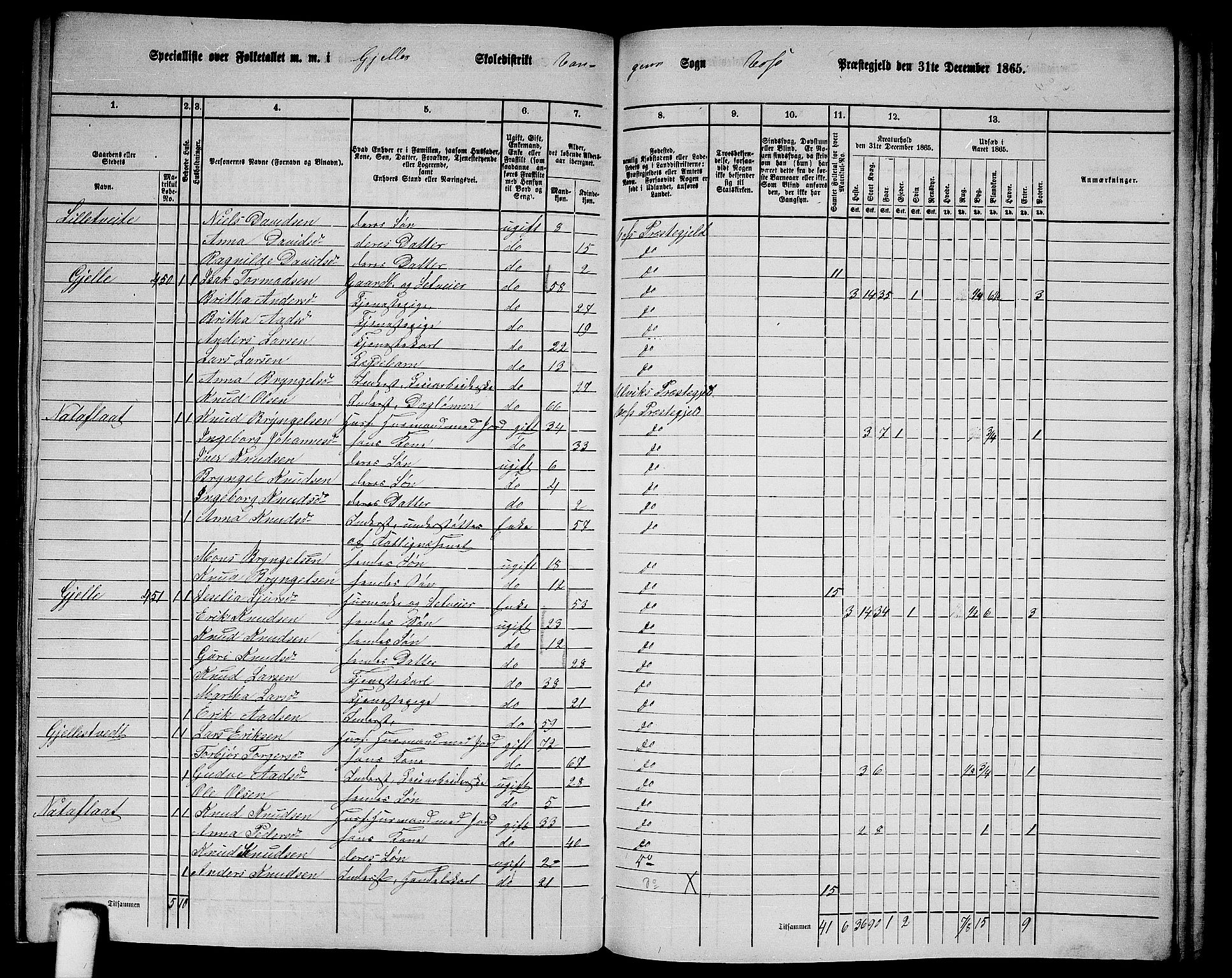 RA, 1865 census for Voss, 1865, p. 198