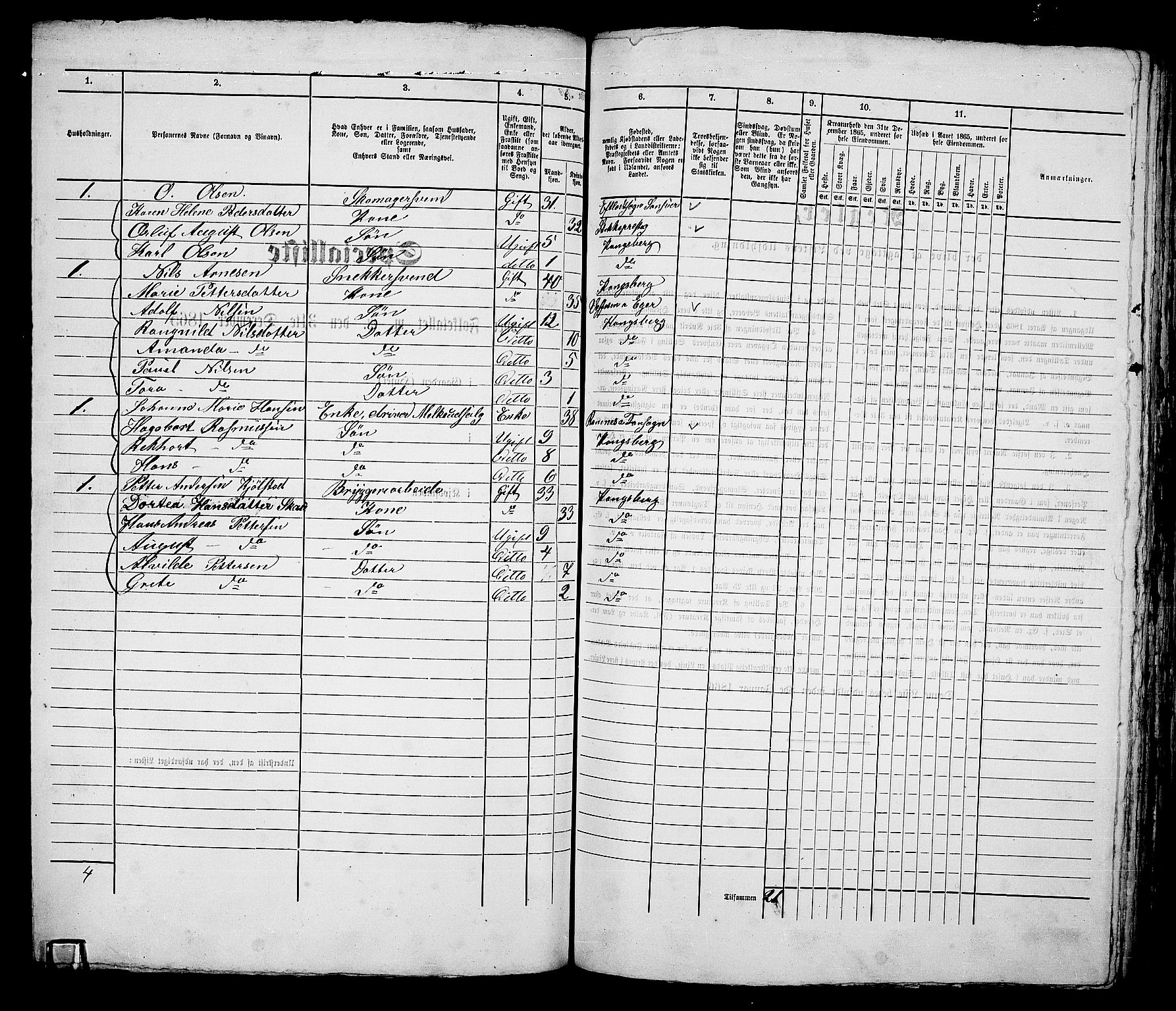 RA, 1865 census for Kongsberg/Kongsberg, 1865, p. 253