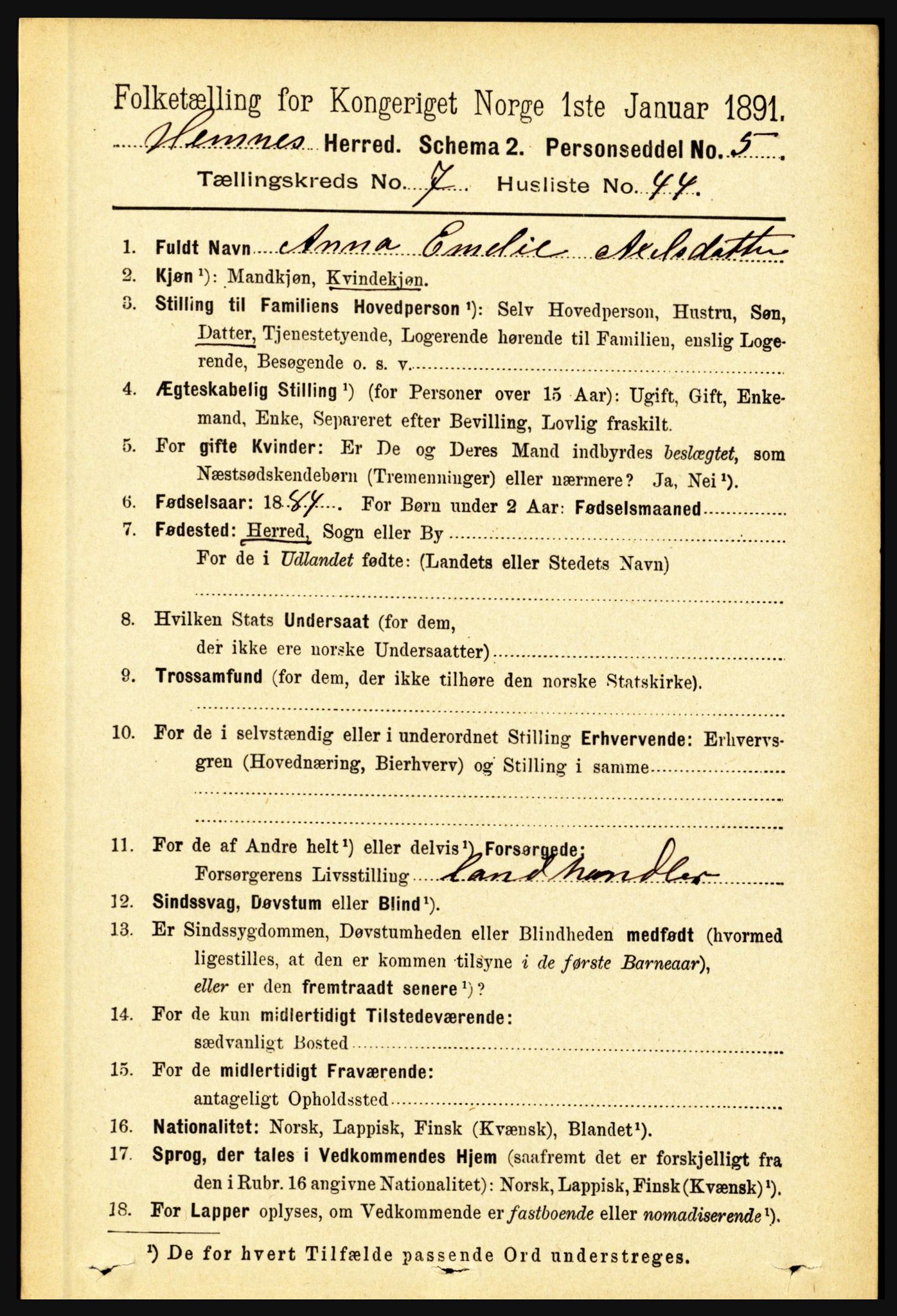 RA, 1891 census for 1832 Hemnes, 1891, p. 3529