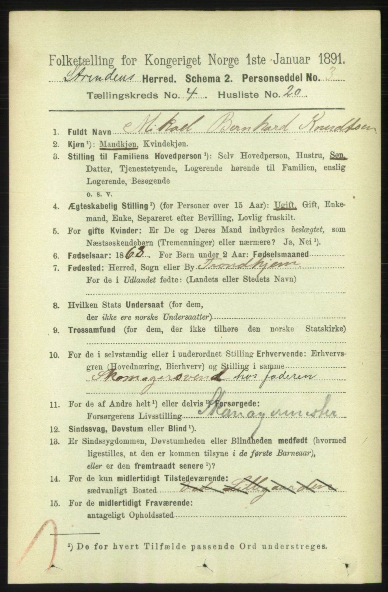 RA, 1891 census for 1660 Strinda, 1891, p. 4058