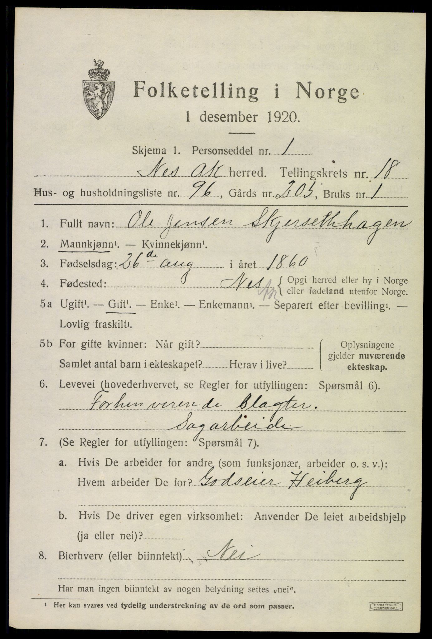 SAO, 1920 census for Nes, 1920, p. 18892