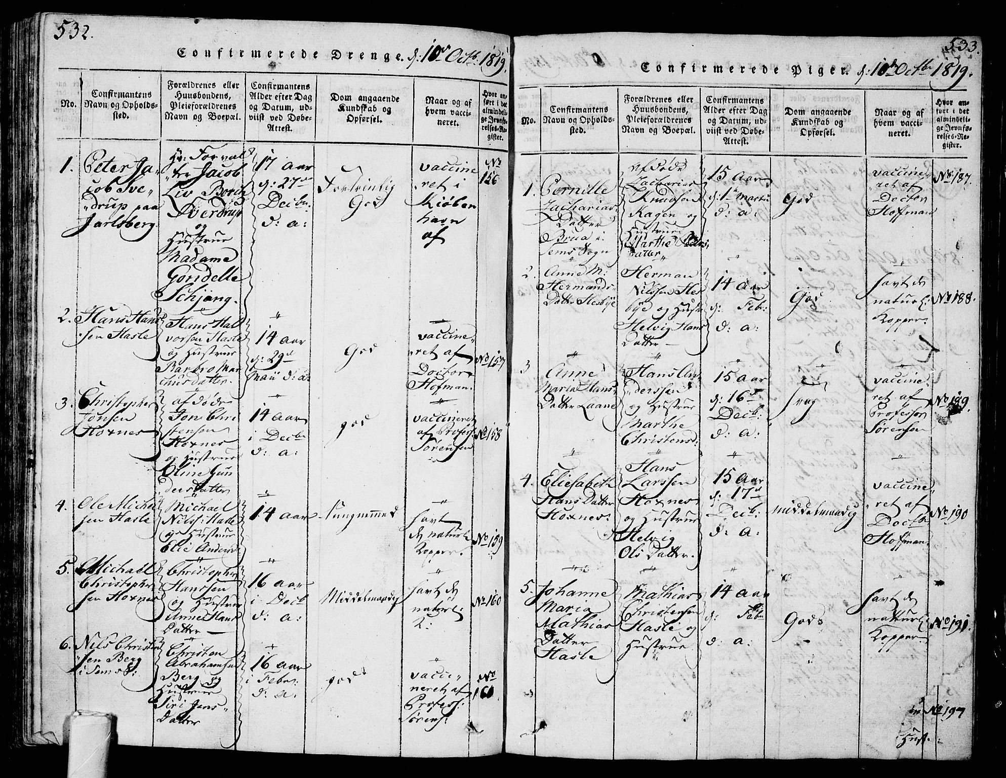 Sem kirkebøker, AV/SAKO-A-5/G/Ga/L0001: Parish register (copy) no. I 1, 1814-1825, p. 532-533