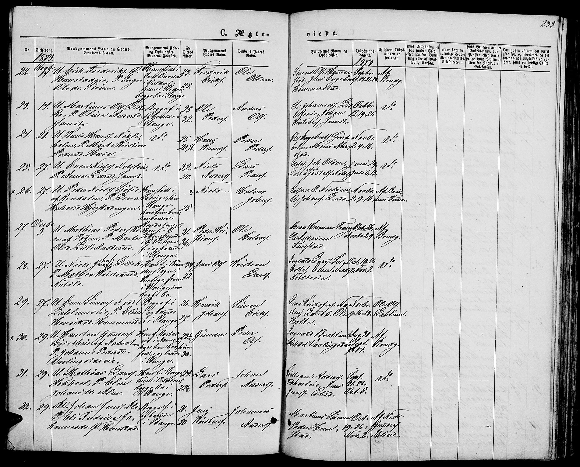 Stange prestekontor, AV/SAH-PREST-002/L/L0006: Parish register (copy) no. 6, 1864-1882, p. 233