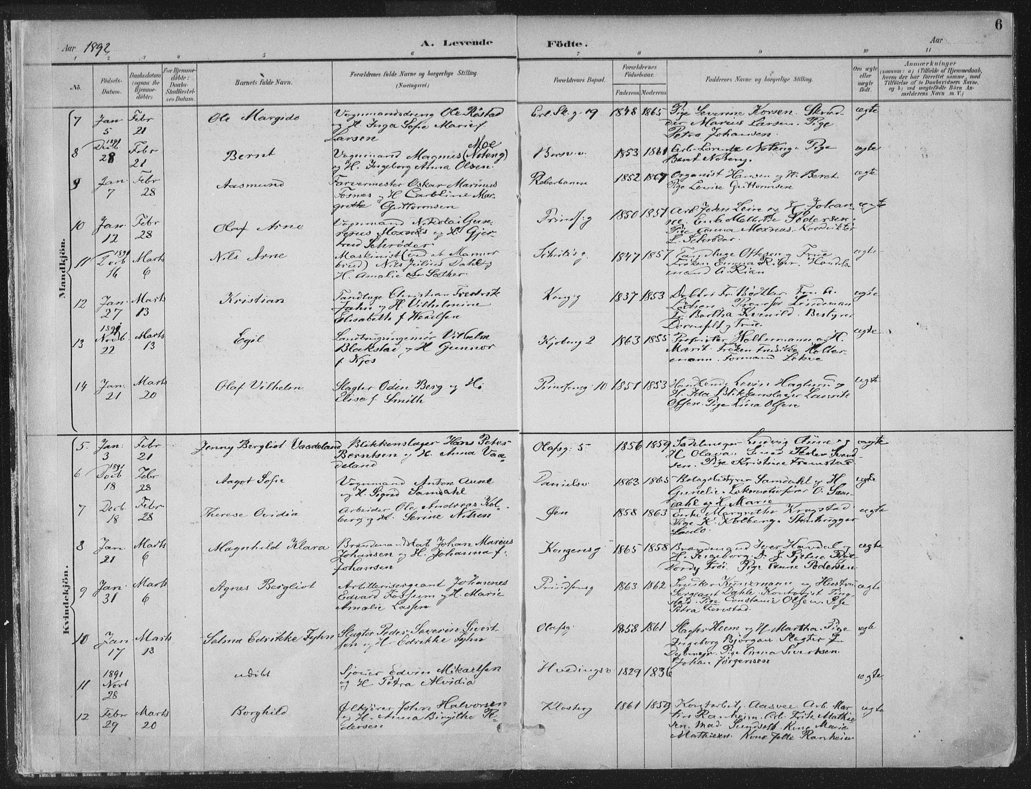Ministerialprotokoller, klokkerbøker og fødselsregistre - Sør-Trøndelag, SAT/A-1456/601/L0062: Parish register (official) no. 601A30, 1891-1911, p. 6