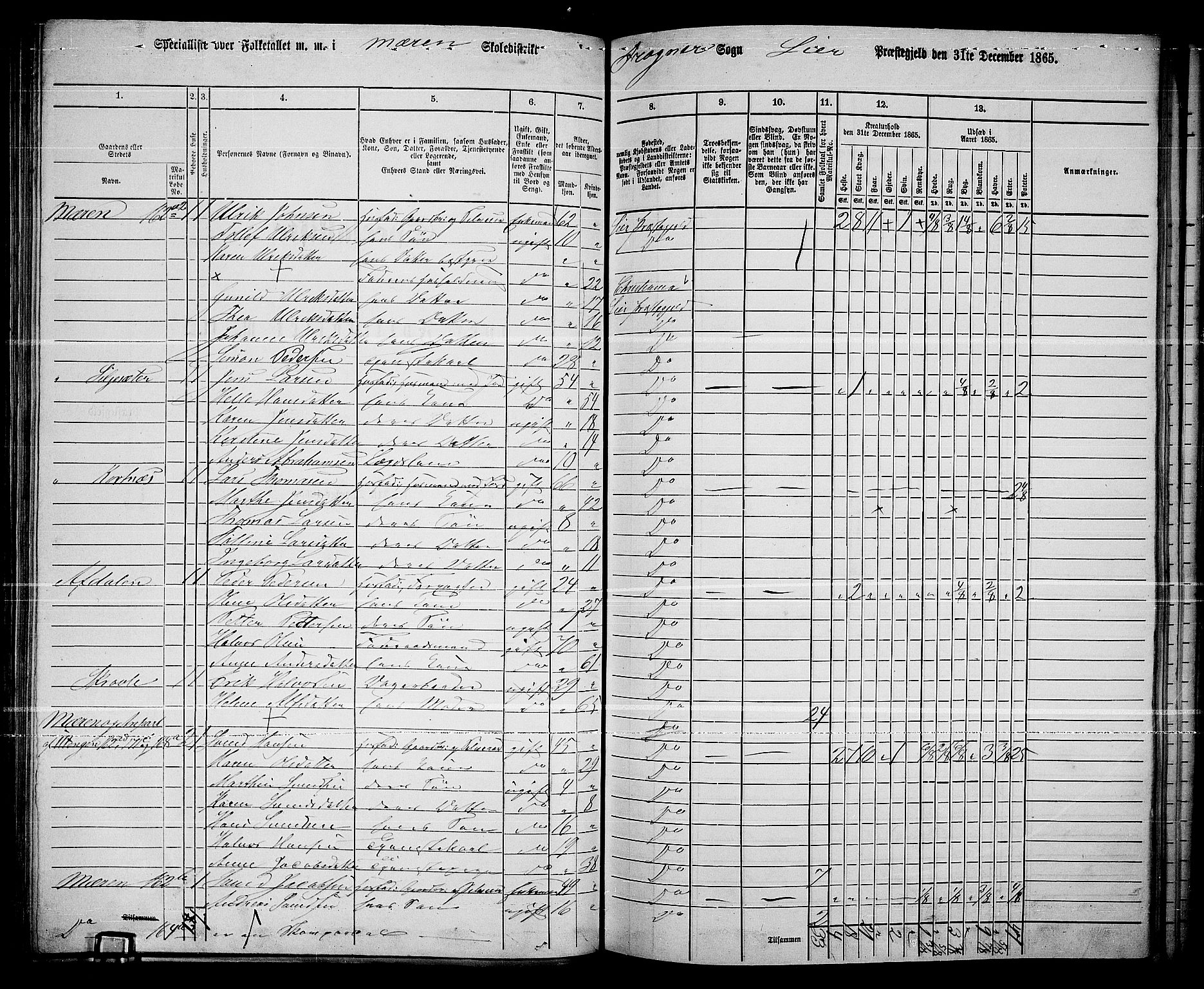 RA, 1865 census for Lier, 1865, p. 95