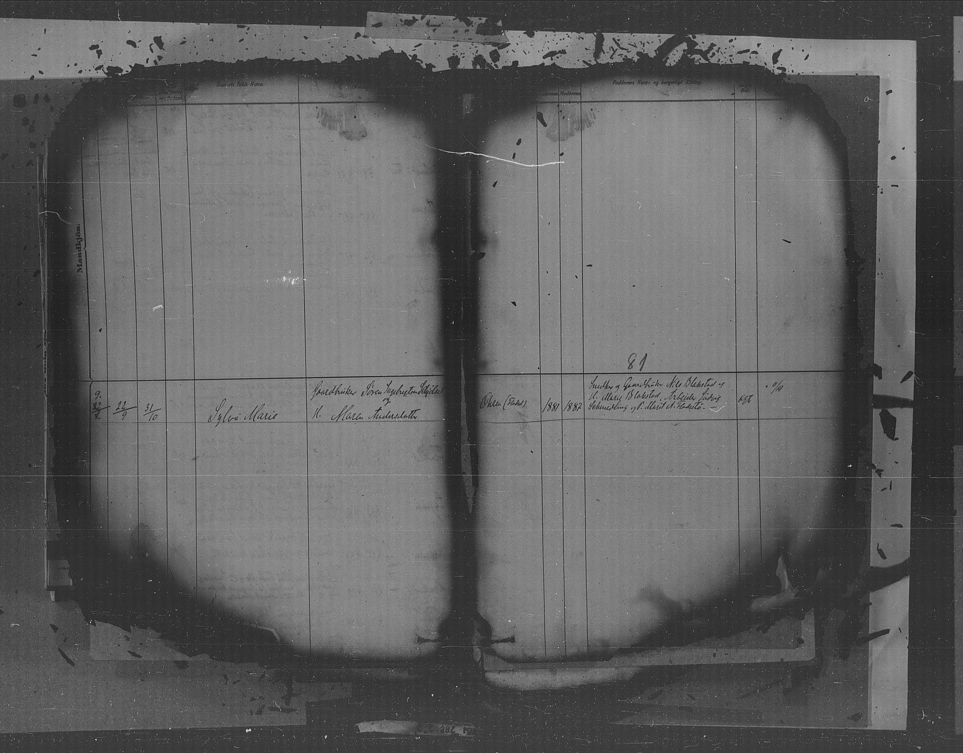 Kristiansund sokneprestkontor, AV/SAT-A-1068/1/I/I1: Parish register (official) no. 30, 1880-1919, p. 81