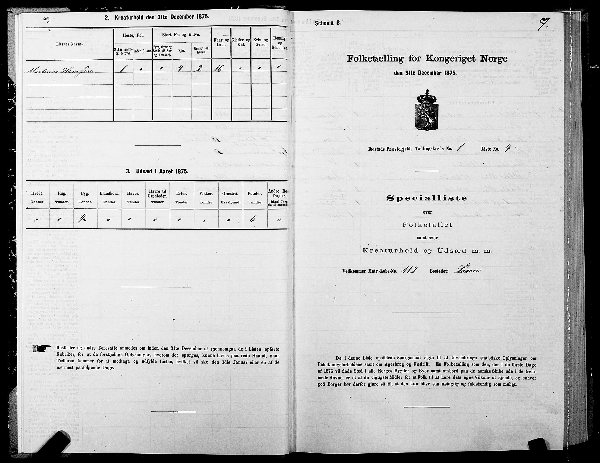 SATØ, 1875 census for 1917P Ibestad, 1875, p. 1007