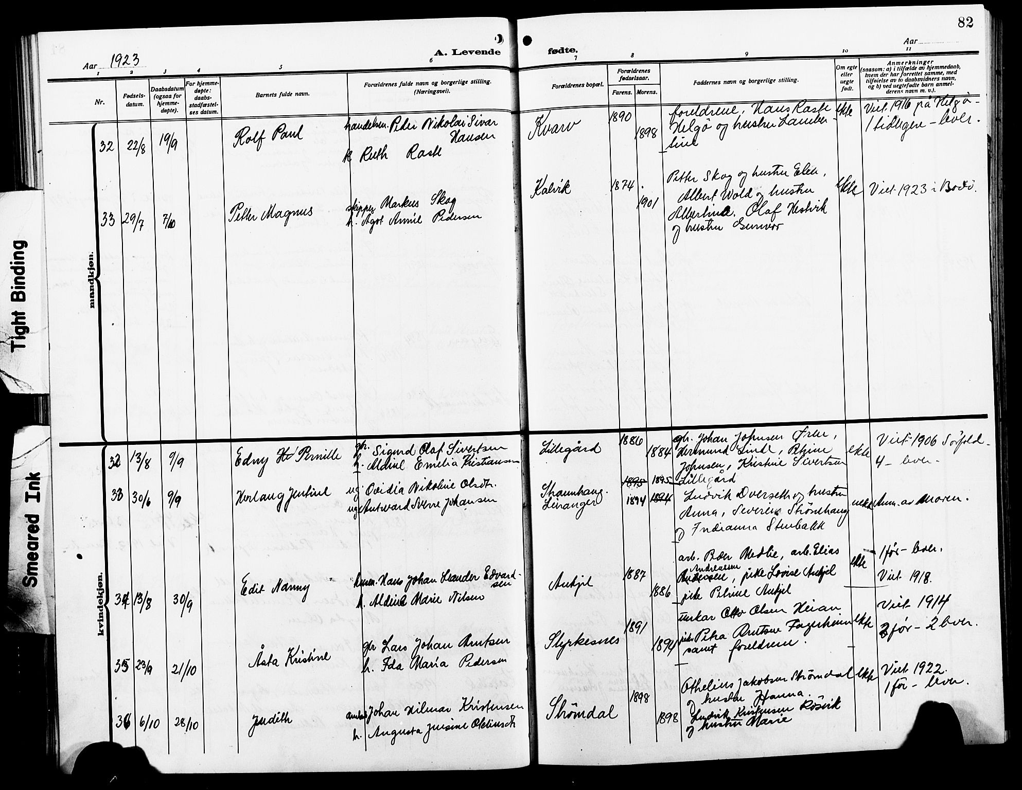 Ministerialprotokoller, klokkerbøker og fødselsregistre - Nordland, AV/SAT-A-1459/854/L0787: Parish register (copy) no. 854C03, 1913-1926, p. 82