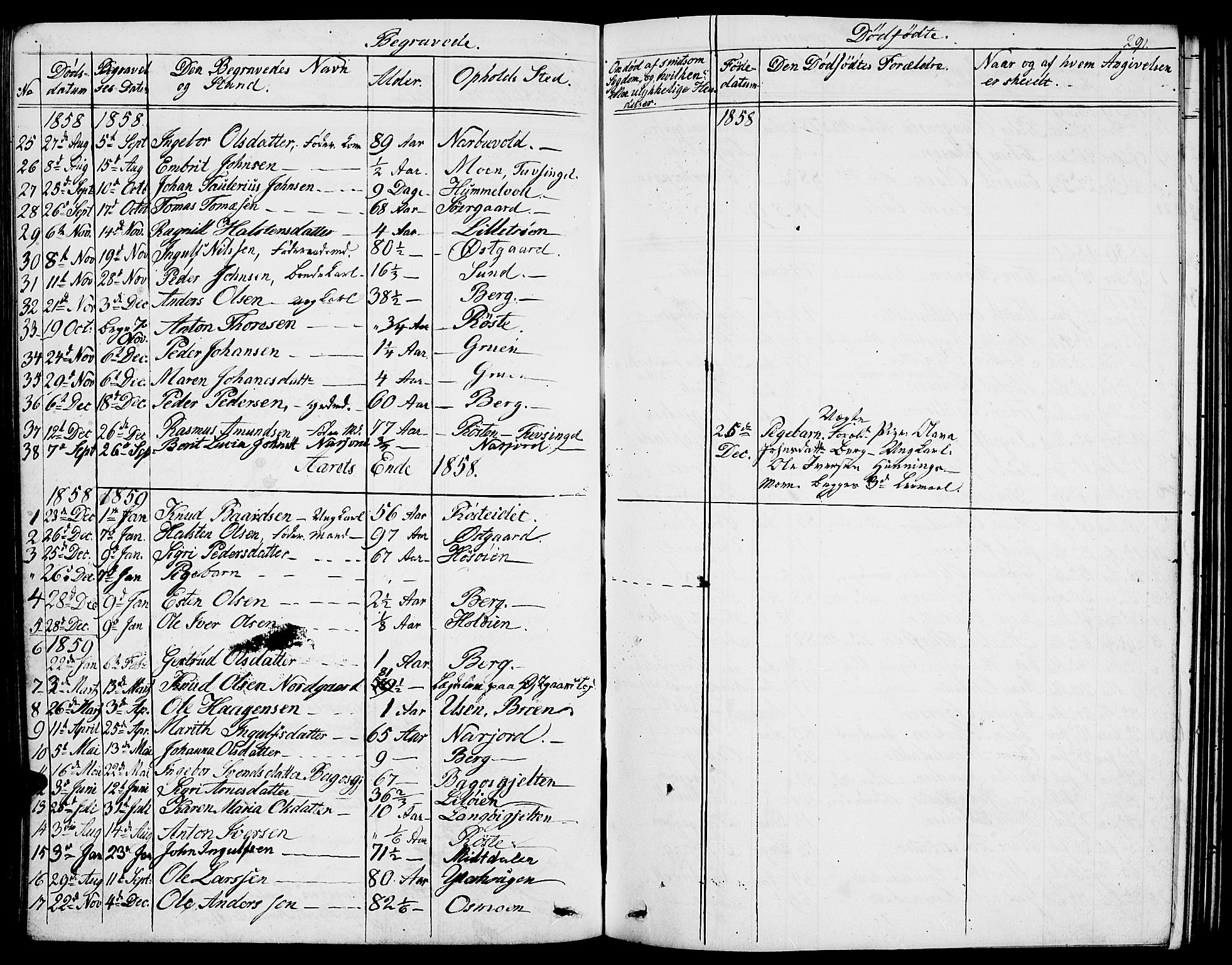 Tolga prestekontor, AV/SAH-PREST-062/L/L0004: Parish register (copy) no. 4, 1845-1887, p. 291