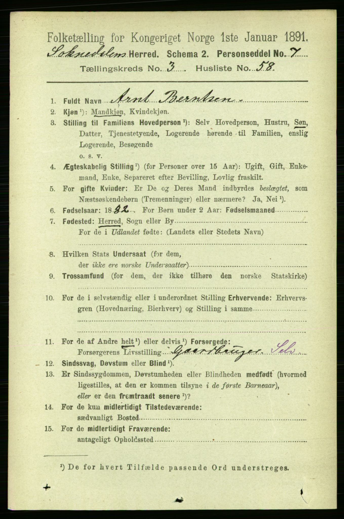 RA, 1891 census for 1649 Soknedal, 1891, p. 1522