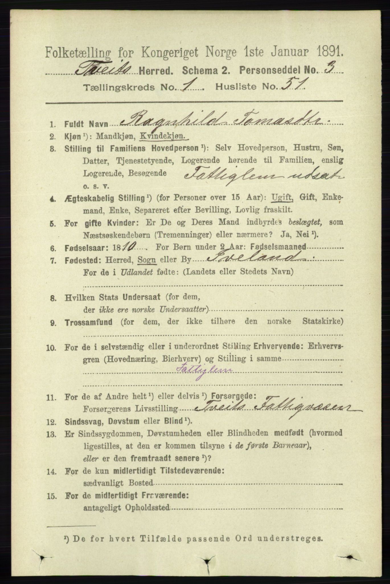 RA, 1891 census for 1013 Tveit, 1891, p. 331