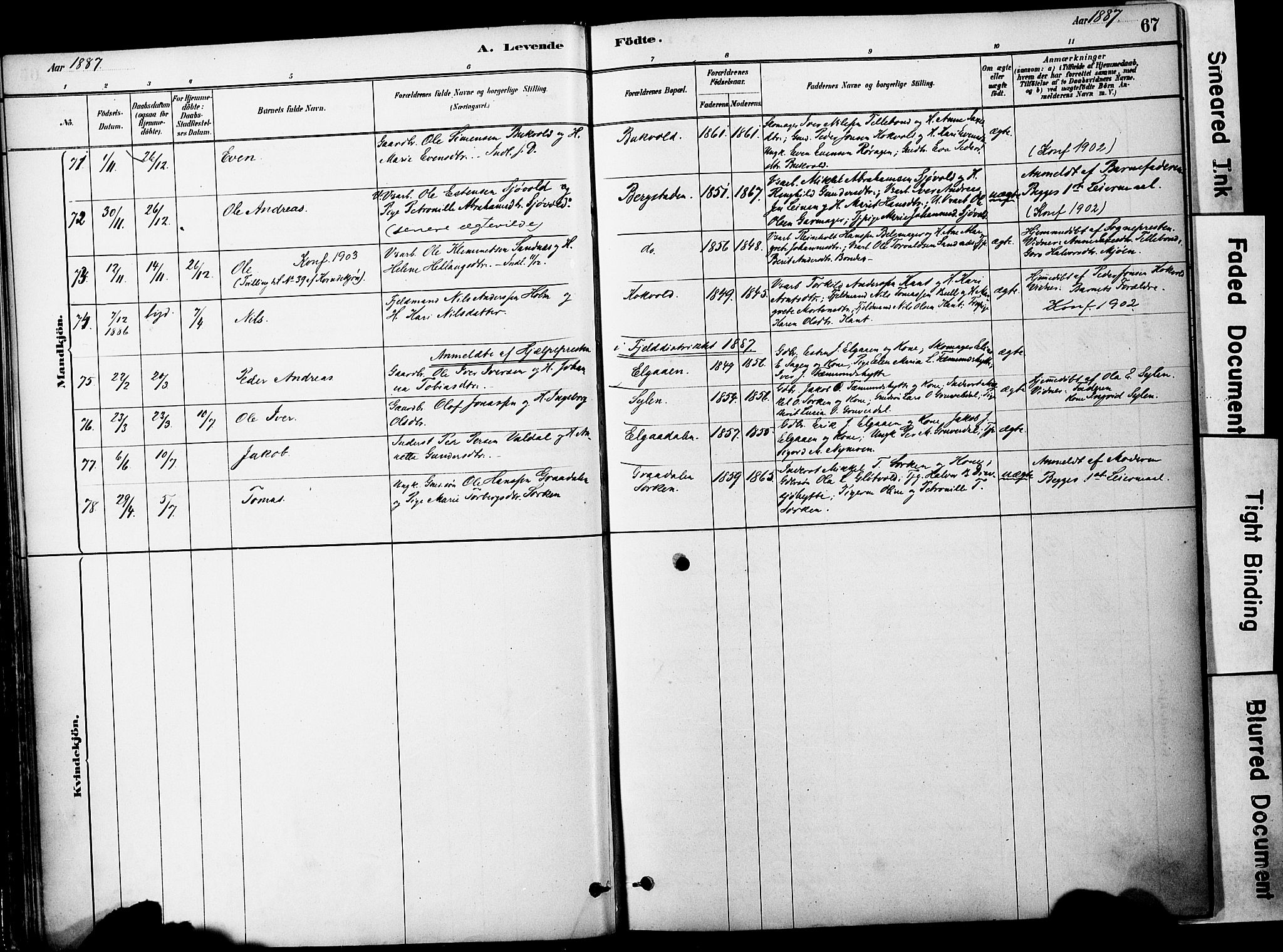 Ministerialprotokoller, klokkerbøker og fødselsregistre - Sør-Trøndelag, SAT/A-1456/681/L0933: Parish register (official) no. 681A11, 1879-1890, p. 67